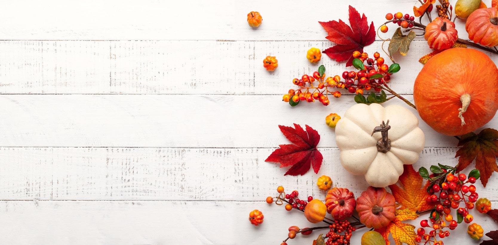 Beautiful fall leaves and squashes on a white board